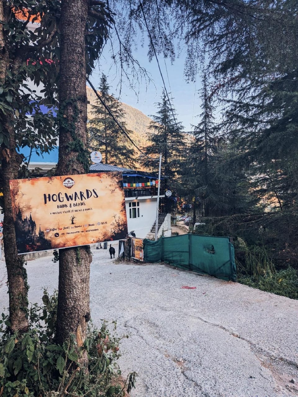 Hogwards bunks Hostel in Punjab, India