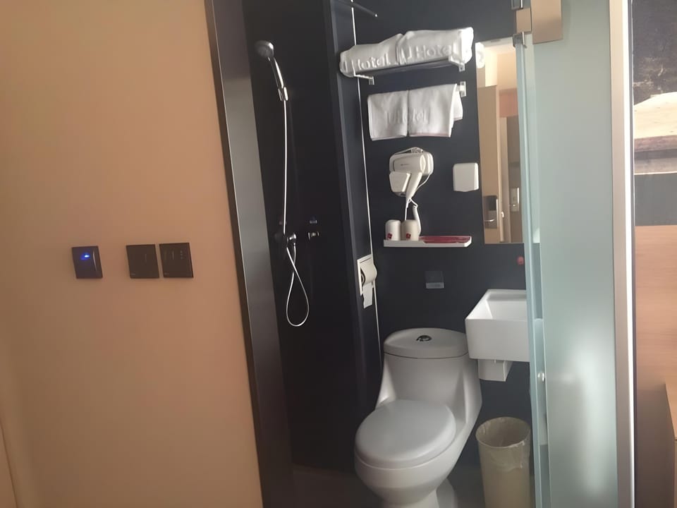 Thank Inn Plus Hotel Hebei Langfang Art Avenue Danfeng Park Exhibition Hotel in China