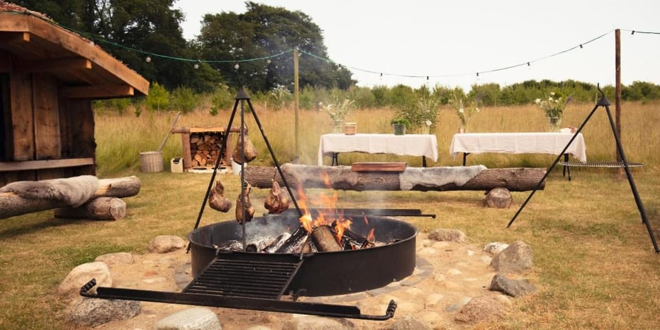 Fjelsted Skov Hotel & Konference Hotel in Region of Southern Denmark