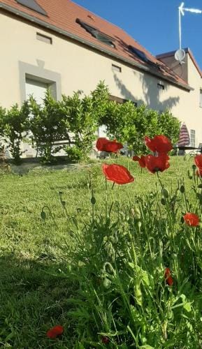 Le Feneau Maison d'hotes Hotel in Bourgogne-Franche-Comté