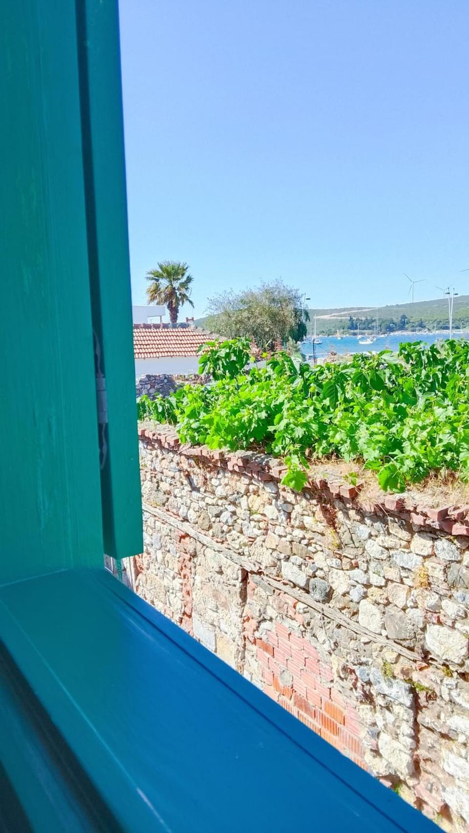 Felicitta Stay & Joy Hotel in İzmir Province
