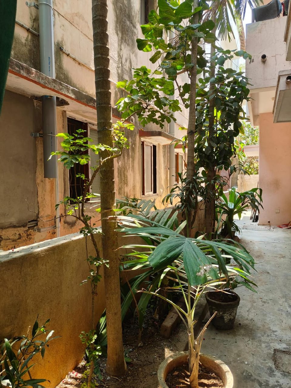 La Perle De Pondicherry Hotel in Puducherry