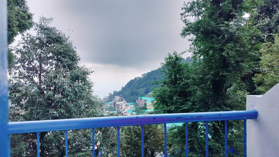 Tree House Bhagsu Hotel in Punjab, India