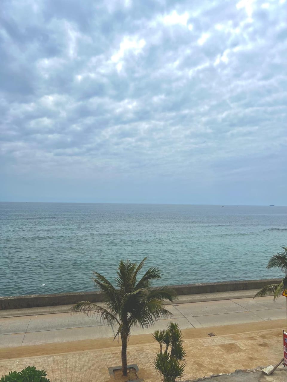 View