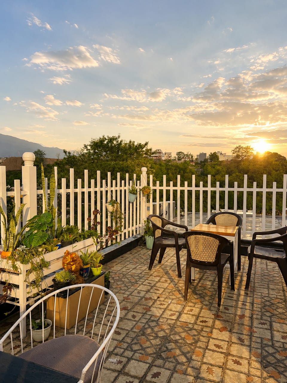 Amour Café | Glasshouse Rooftop Bed and Breakfast in Dehradun