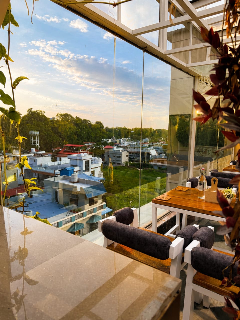 Amour Café | Glasshouse Rooftop Bed and Breakfast in Dehradun