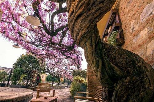 il Glicine B&B RISTORANTE Hotel in Province of Brescia