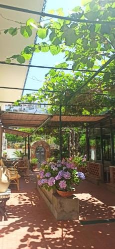Villa dei fiori B&B Hotel in Marina Grande