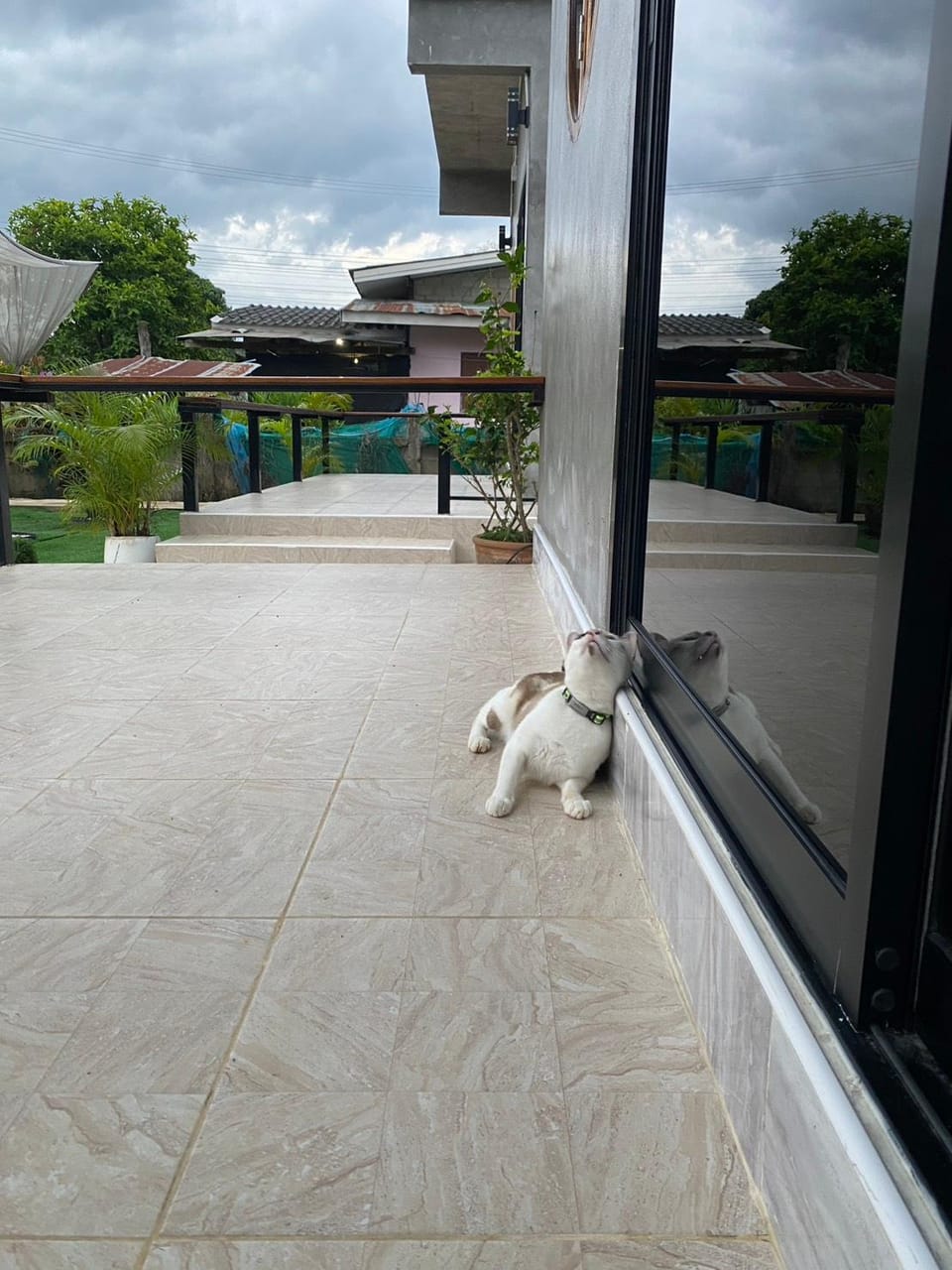 AMM PAI RESORT Resort in Thailand