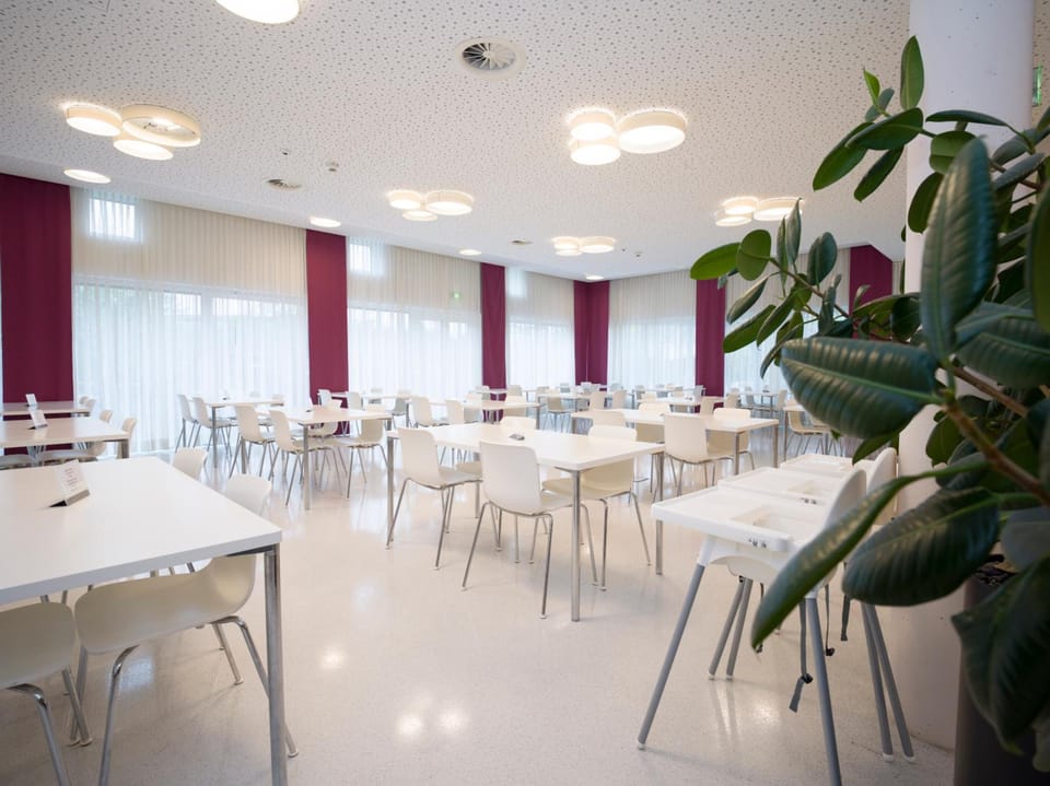 Eco Suite Hotel Hotel in Salzburg