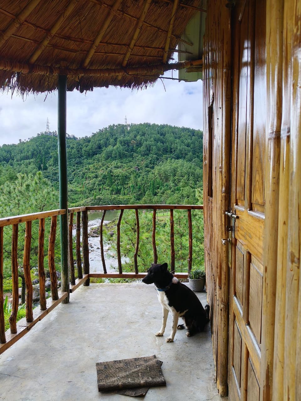 Balcony/terrace