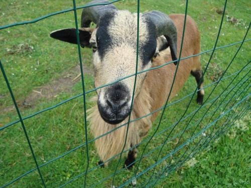 o zirondels Hotel in Centre-Val de Loire