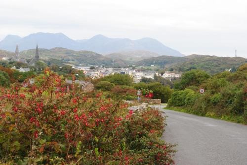 Ben View Guesthouse Hotel in Clifden