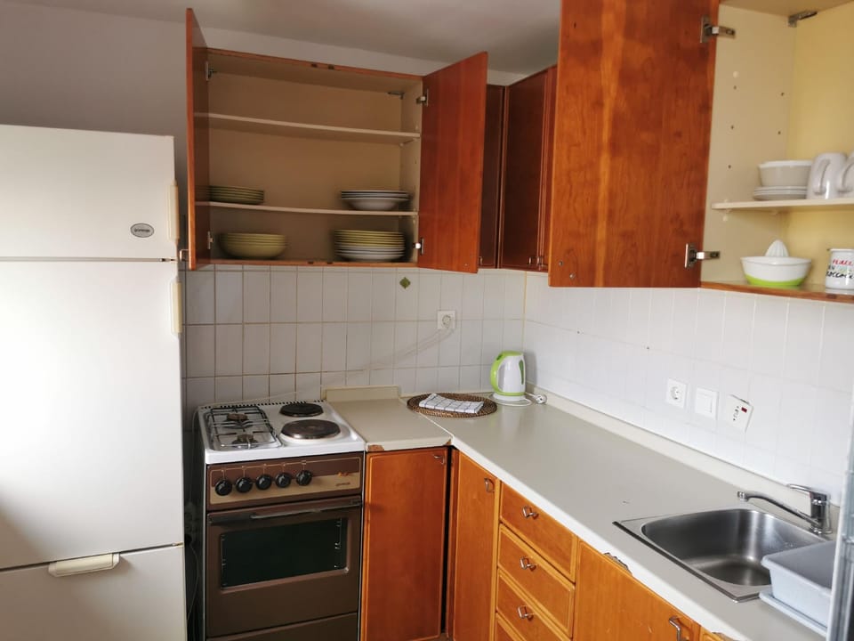 Dunajska Apartment Hotel in Ljubljana