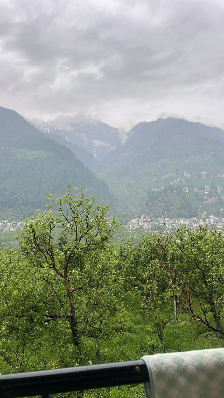 Mountain face & cottage Hotel in Himachal Pradesh