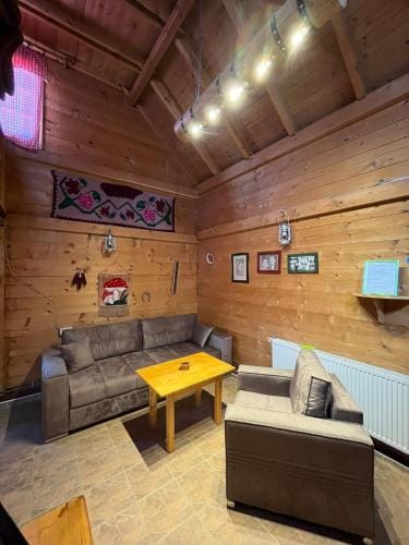 Apartments Vila Selena - Golija Hotel in Serbia