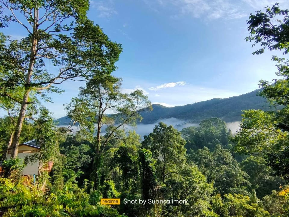 SuansaiimorkHomestay Resort in Thailand