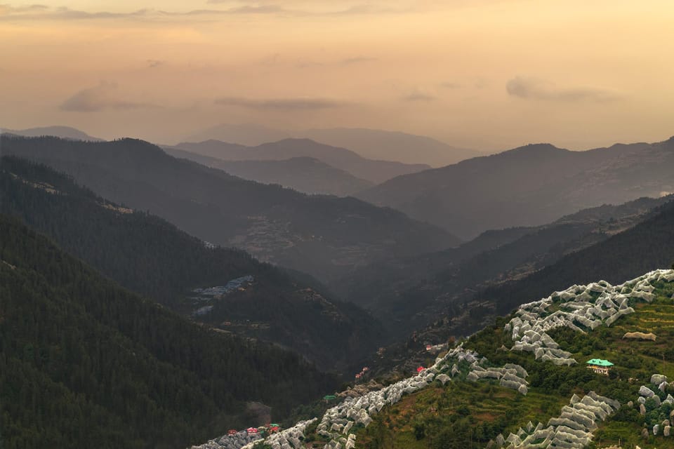 Treehouse Narkanda Operated By Ensemble Guest House Hotel in Himachal Pradesh