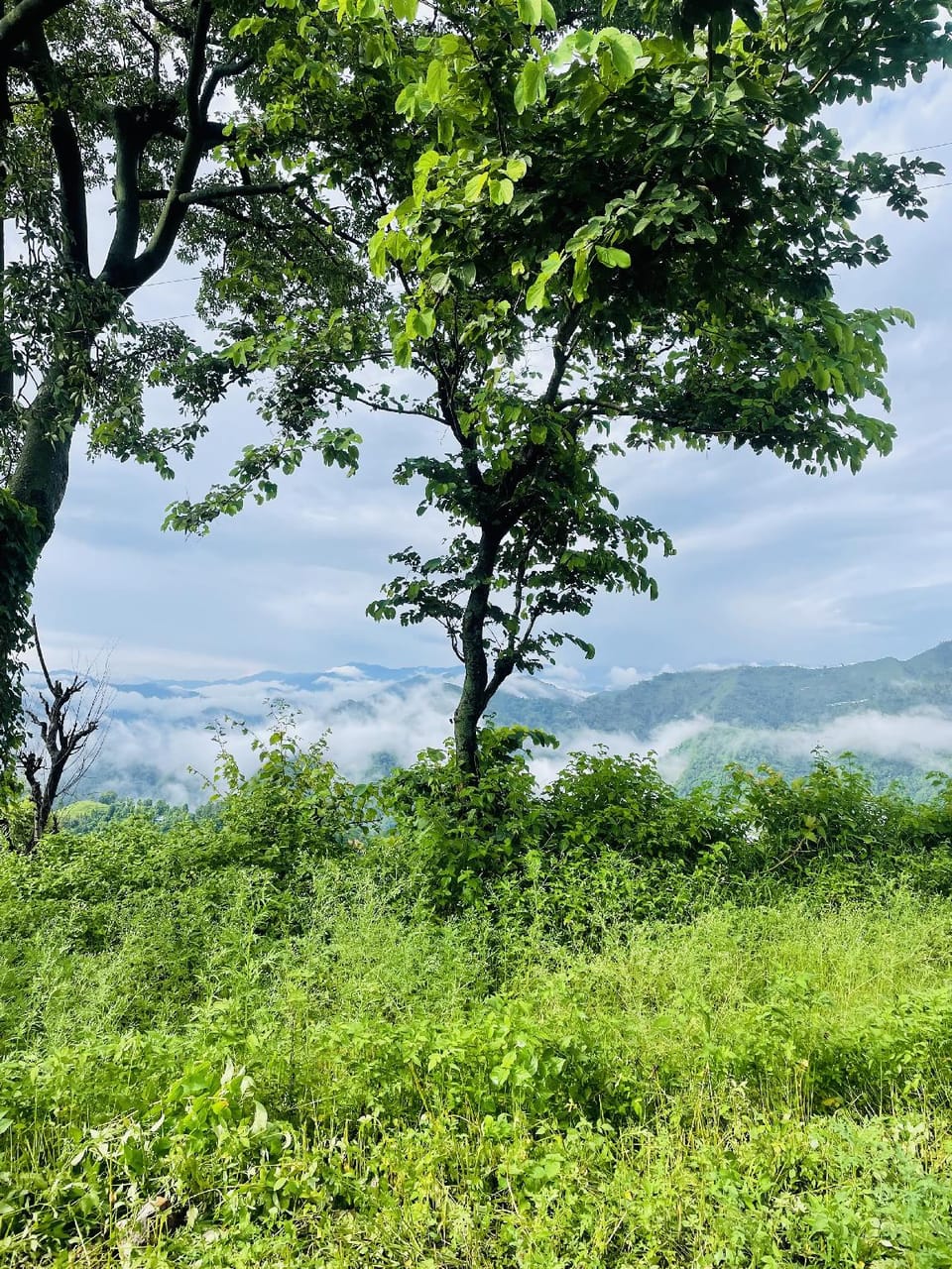 The Ameya  Resort in Uttarakhand
