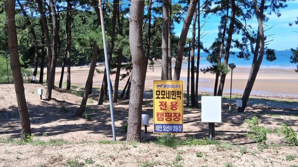 Taean Momone Minbak Hotel in South Korea