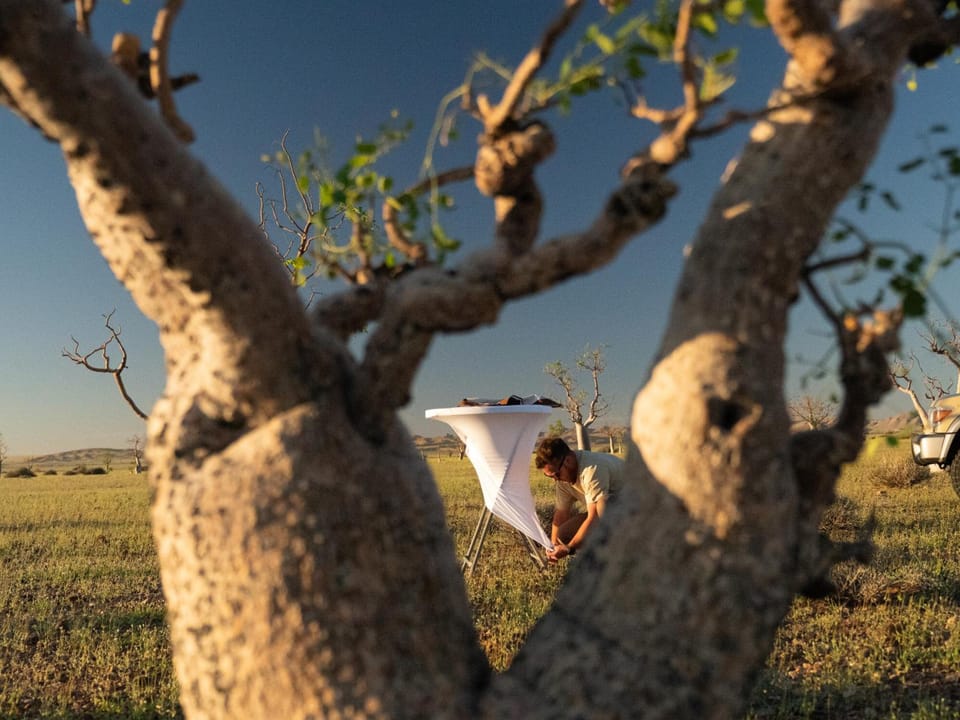 Namib Naukluft Lodge Lodge in Khomas Region, Namibia