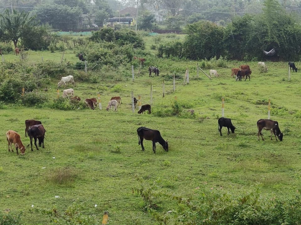 River Point Homestay Hotel in Karnataka