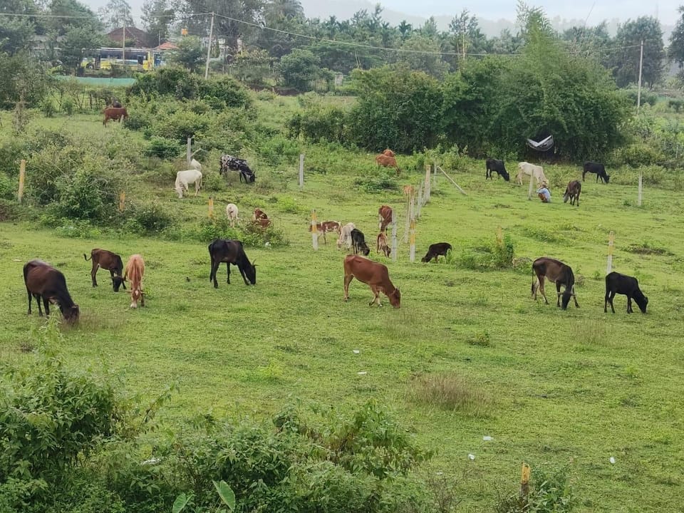 River Point Homestay Hotel in Karnataka
