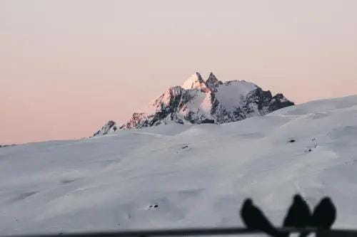 GALAAXY Mountain Hostel Hotel in Canton of Grisons