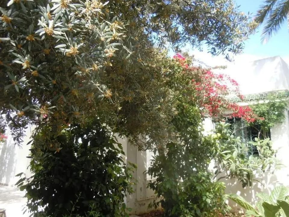 House With Garden Wala Hotel in Tunisia