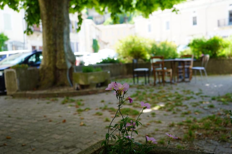 Oustal de Bourdeaux Hostel in Provence