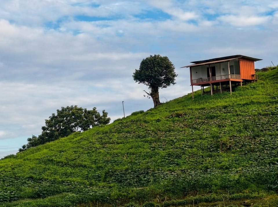Green Resort Chiang Mai Bed and Breakfast in Thailand