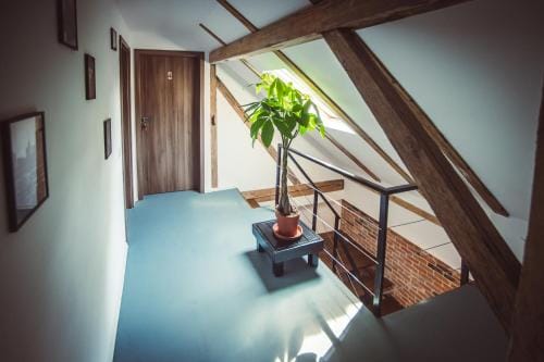 TimHouse Hotel in Timisoara