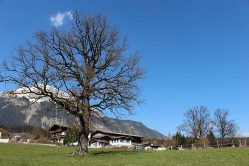 Lamplhof B&B Hotel in Tyrol