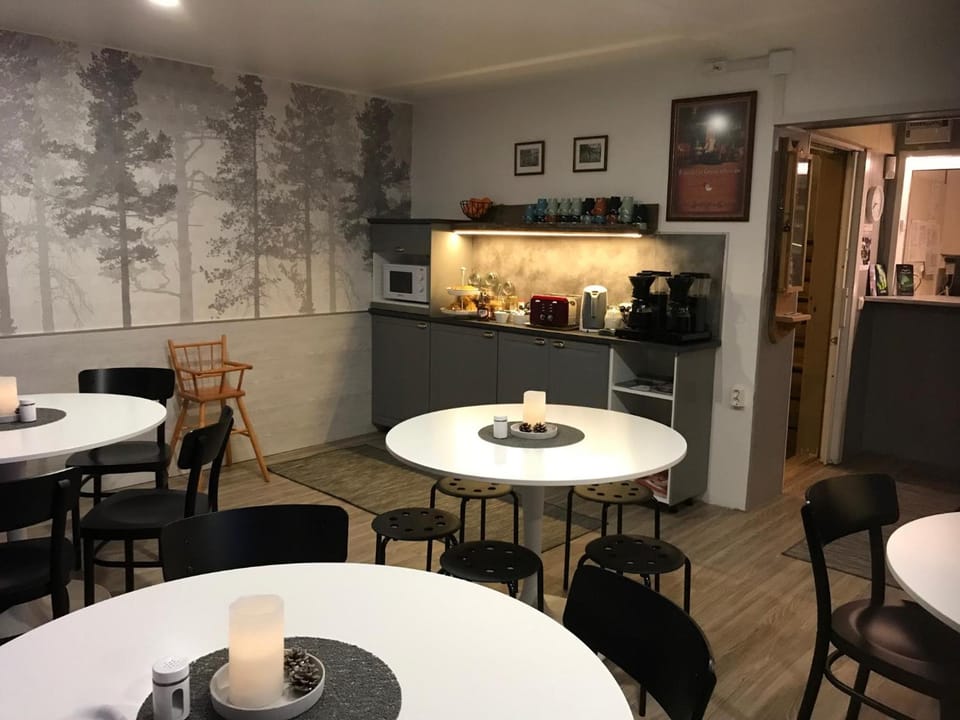 Guesthouse Borealis Hotel in Rovaniemi