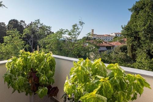 La Villa 31 - Locazione Turistica Hotel in Rosignano Marittimo