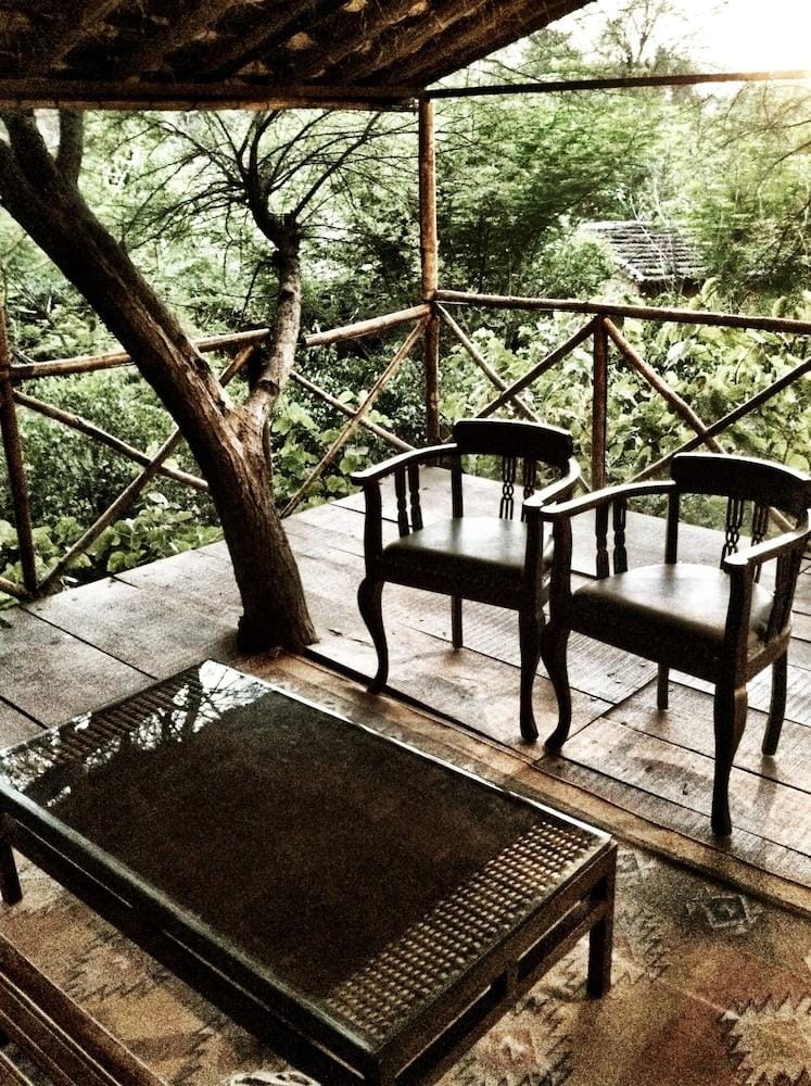 The Tree House Resort Hotel in Rajasthan
