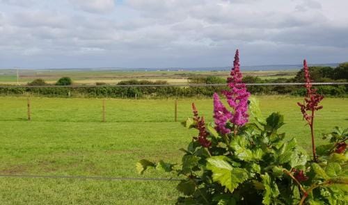Lilly's Lodges Orkney Butterfly Lodge Lodge in Scotland