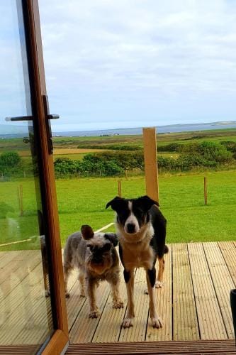 Lilly's Lodges Orkney Butterfly Lodge Lodge in Scotland