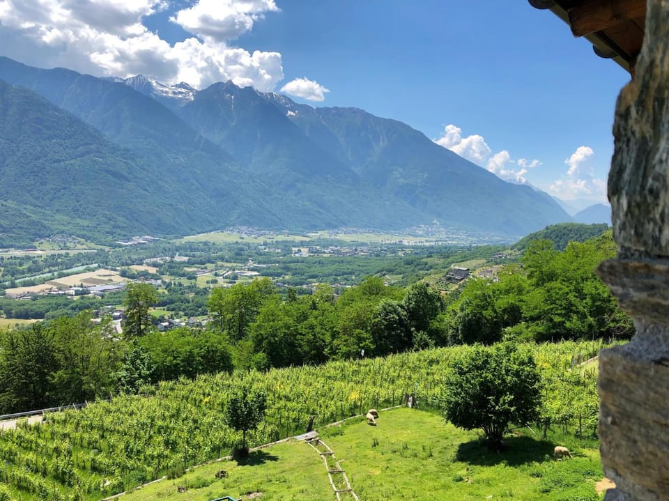 Agriturismo Cavria Hotel in Canton of Grisons
