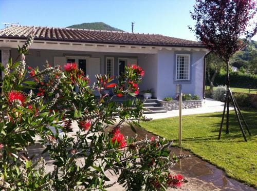Skipper White Guest House Hotel in Trevignano Romano