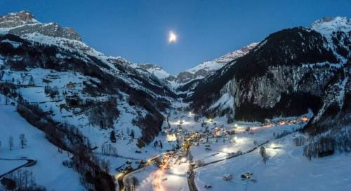 Hotel Alpina Hotel in Canton of Grisons
