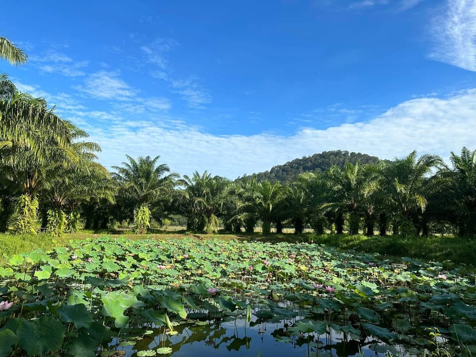 บ้านสวนบางเบน Resort in Ranong, Khao Niwet, Mueang Ranong District, Ranong 85000, Thailand