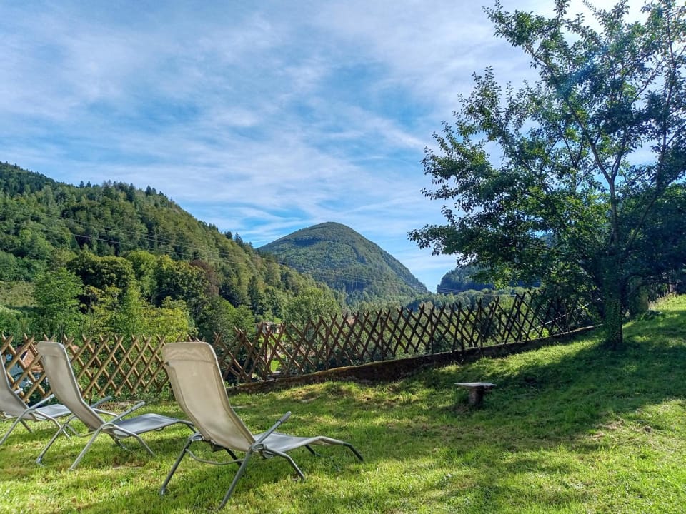 Les Sapins Hotel in Vosges