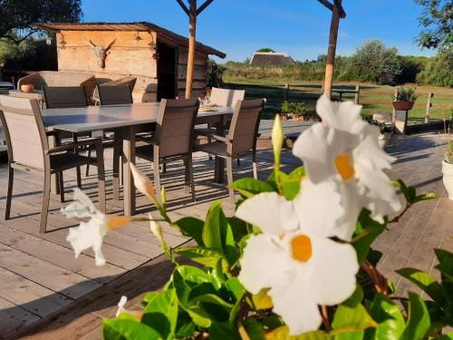 Mas Fandelou Hotel in Saintes-Maries-de-la-Mer