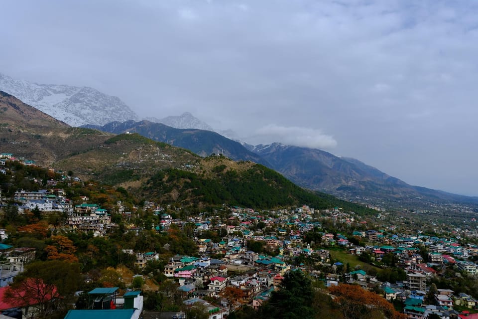 Cloud 911 Mountain Resort Hotel in Himachal Pradesh