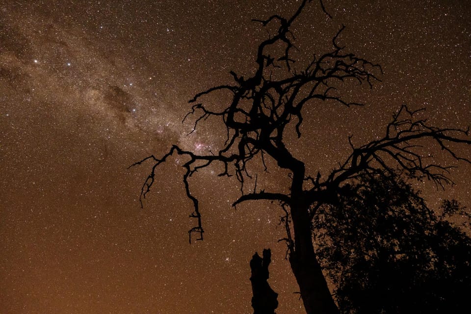Elephant Rest Tented Camp Lodge in Namibia