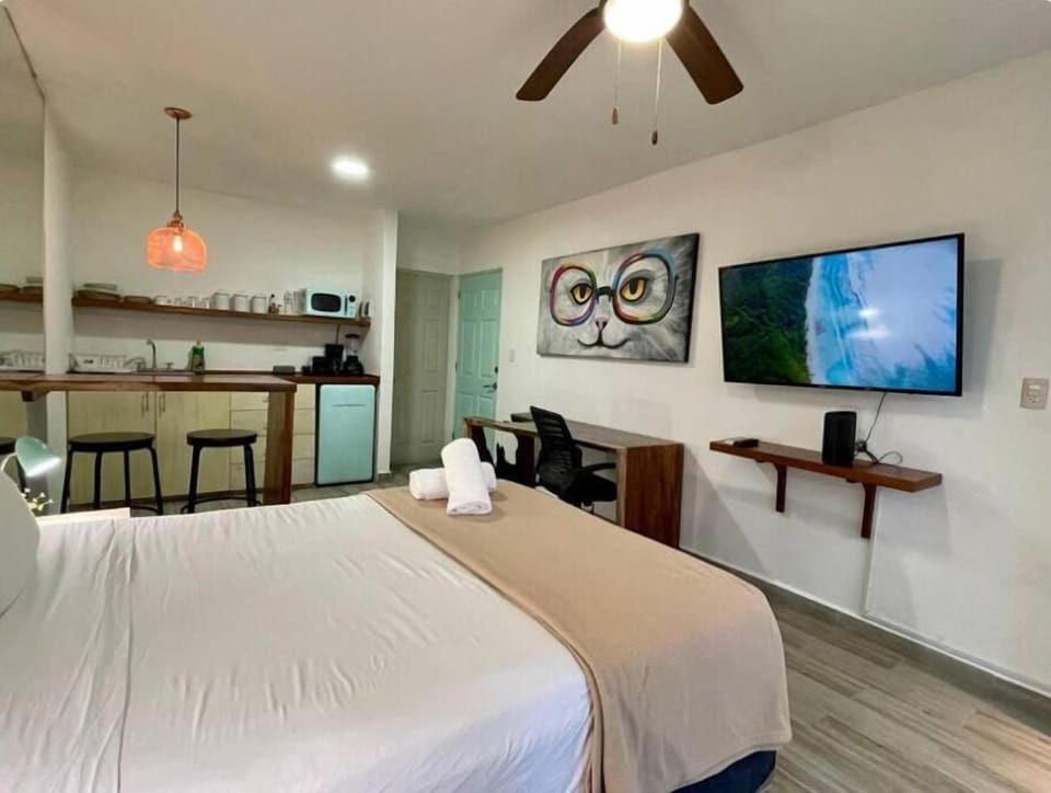 Miramar by Zamá Homes Hotel in Playa del Carmen