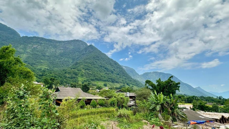Surrounding environment