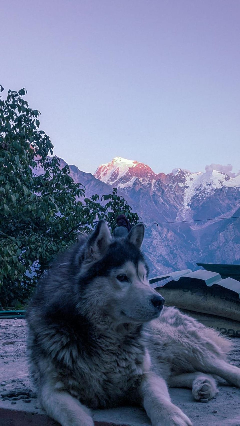 Derainkalpa Hostel in Himachal Pradesh
