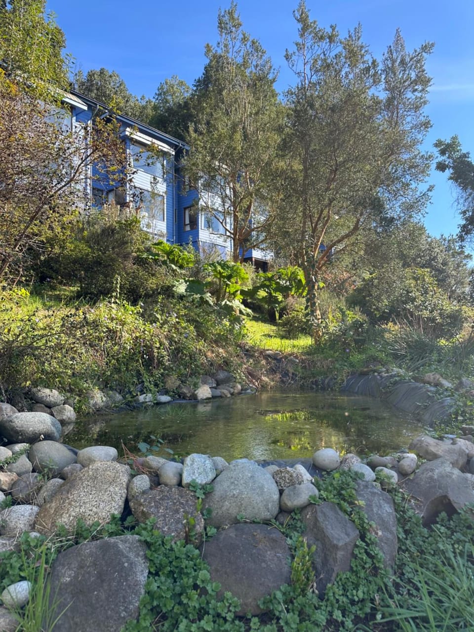 Casa Freude Hotel Boutique Hotel in Los Lagos, Chile